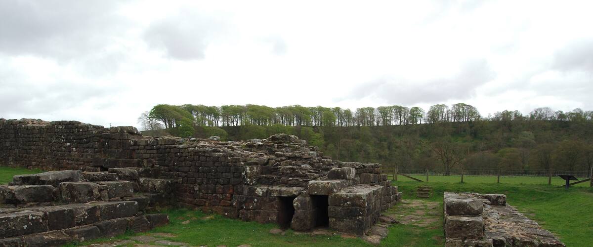 Ancient stone ruins with a grassy field and a forest in the background.