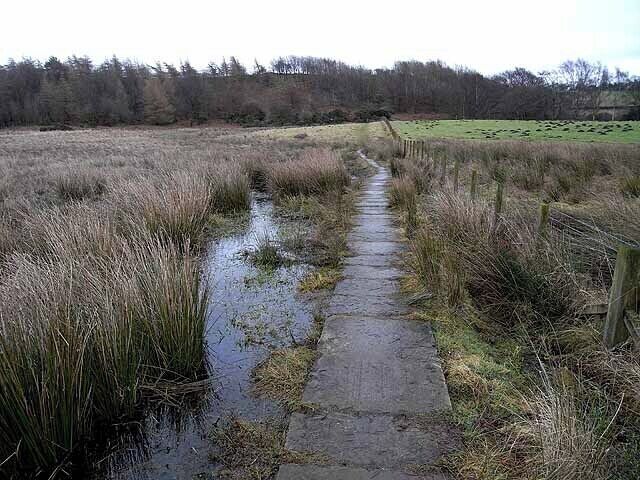 Causeway on the path from Talkin Tarn to Farlam