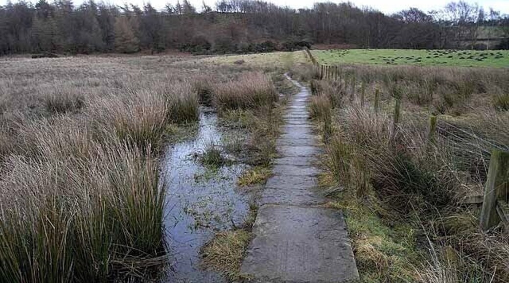 Causeway on the path from Talkin Tarn to Farlam