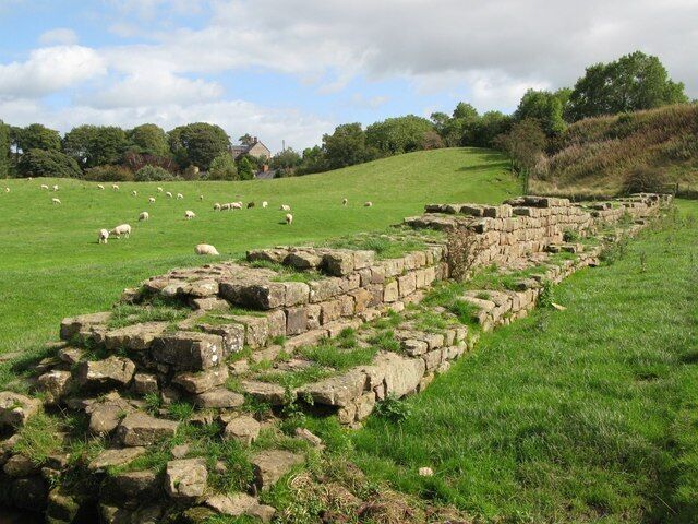 Ancient stone ruins in a grassy field with sheep grazing in the background.