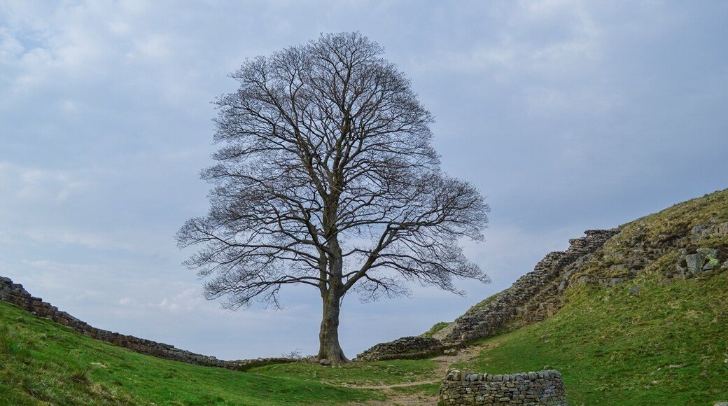 0_23d51889-8ffd-4e01-bb0b-6be4e0b0e672_raw