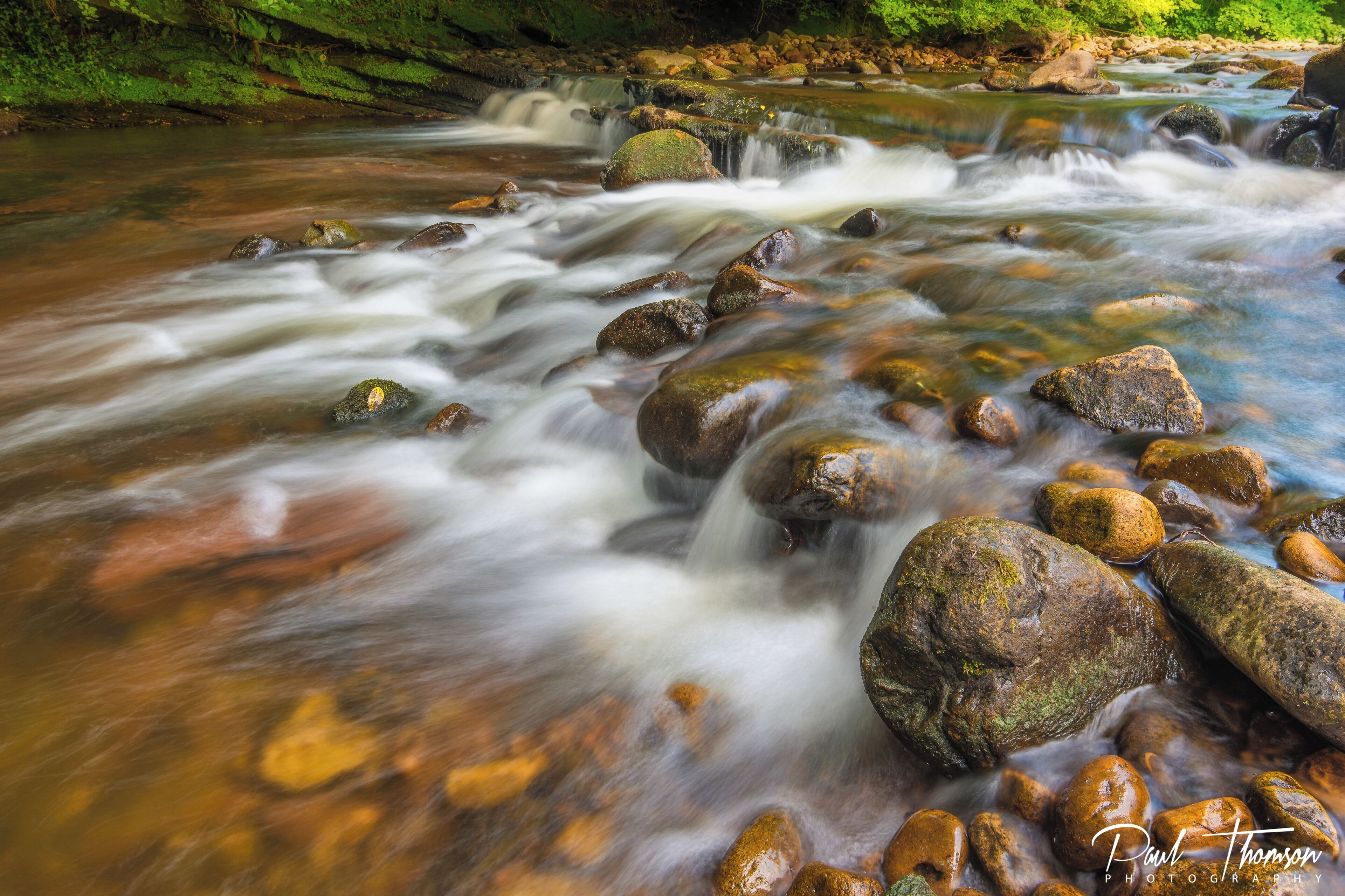 Un río serpenteante con rocas y vegetación.