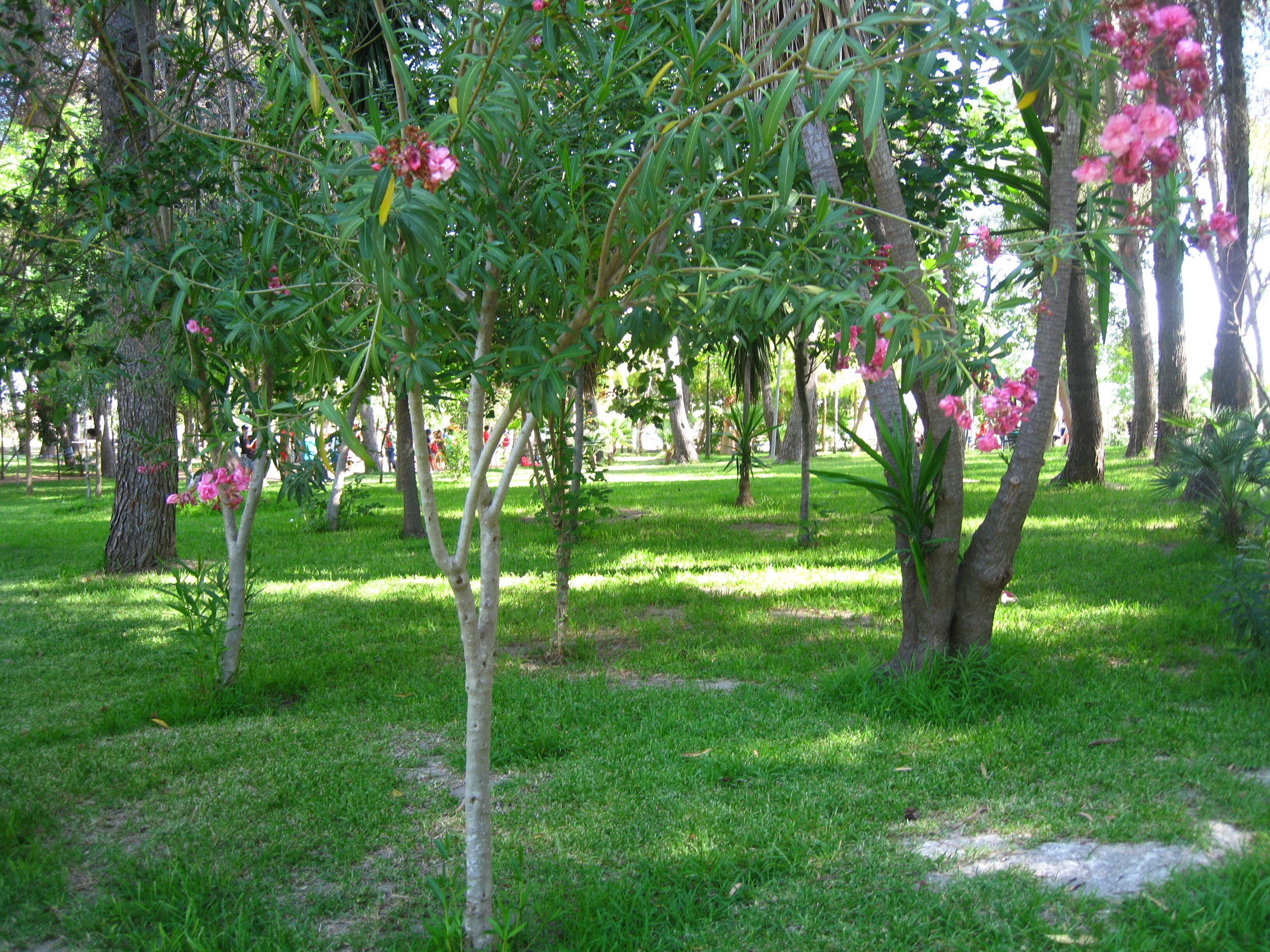 Vista del interior del parque de Guadalema de los Quintero (Sevilla, España)