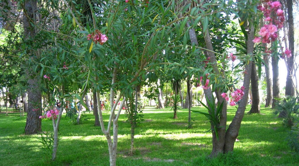 Vista del interior del parque de Guadalema de los Quintero (Sevilla, España)