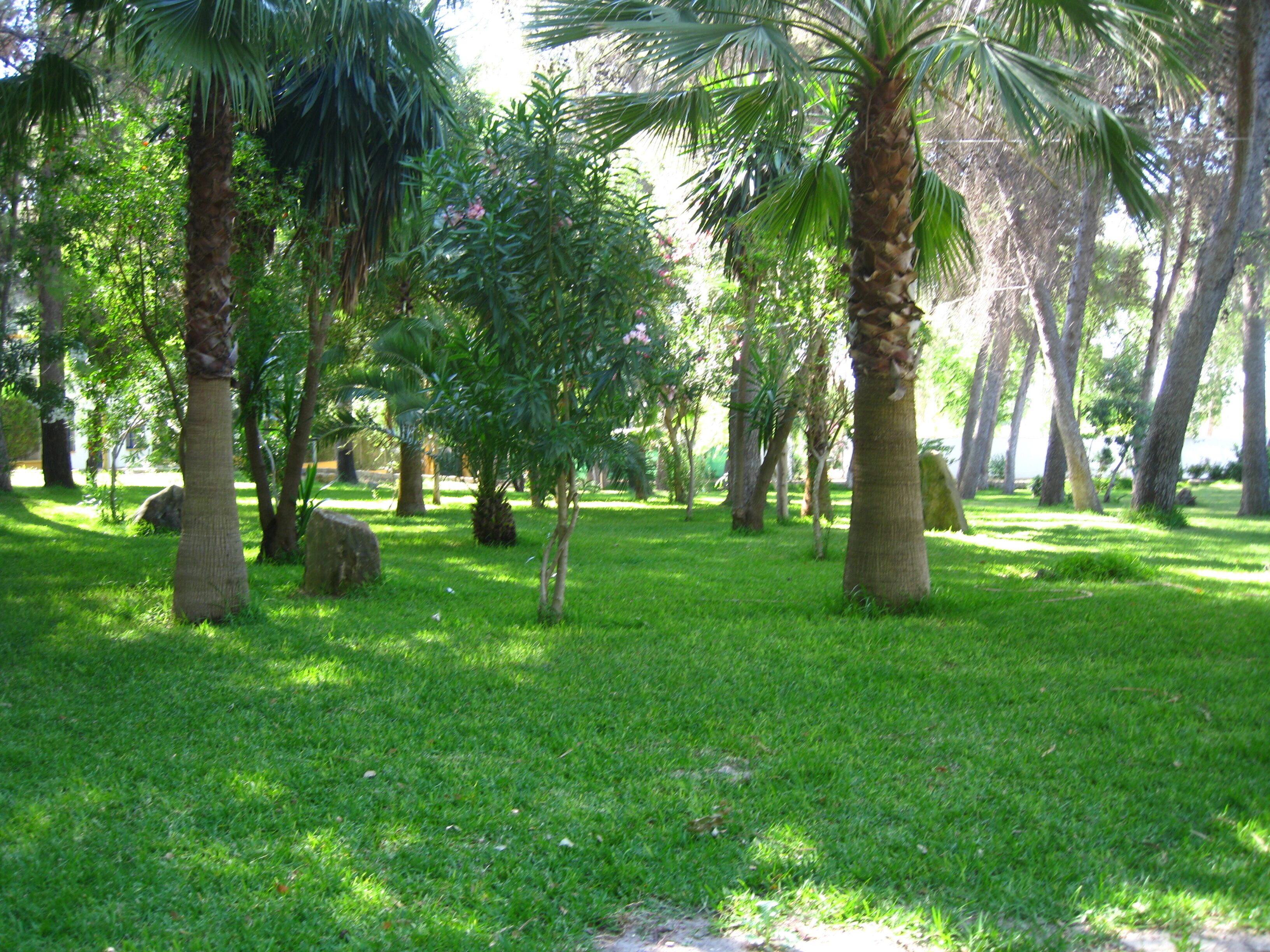 Interior del parque de Guadalema de los Quintero (Sevilla, España)