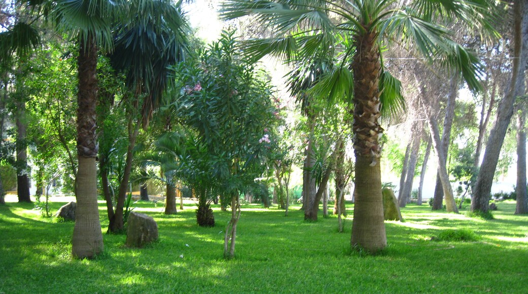 Interior del parque de Guadalema de los Quintero (Sevilla, España)