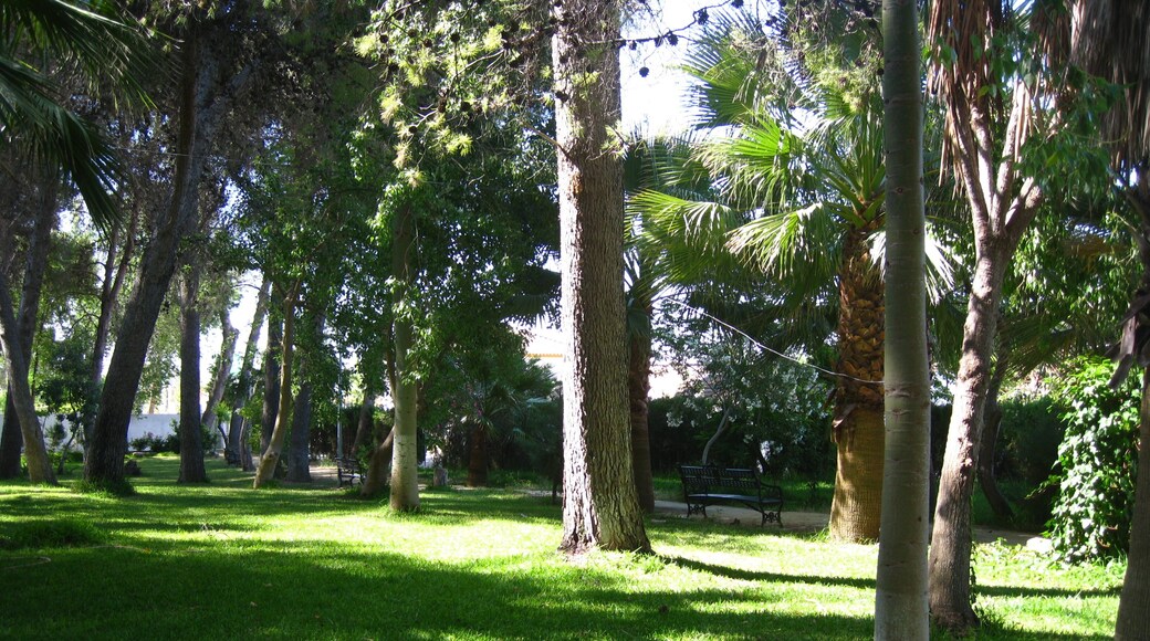 Interior del parque de Guadalema de los Quintero (Sevilla, España)