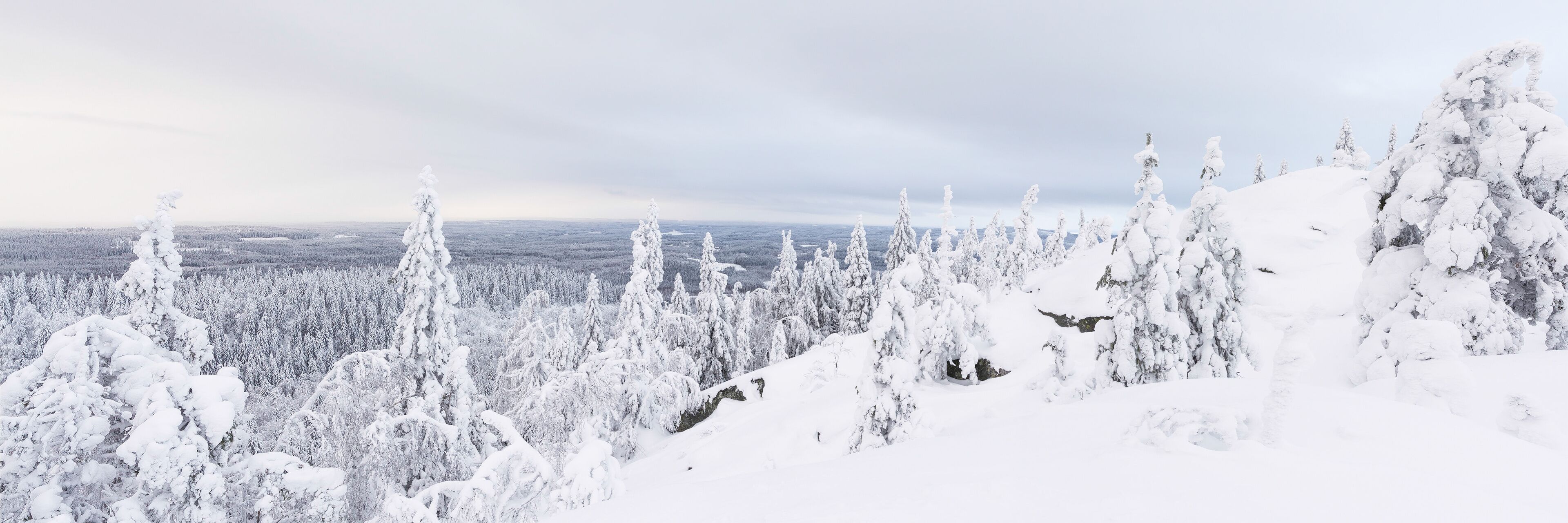 A winter panorama Koli, Finland