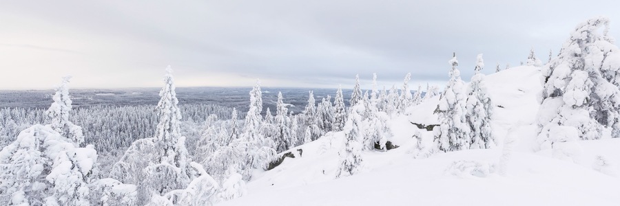 A winter panorama Koli, Finland