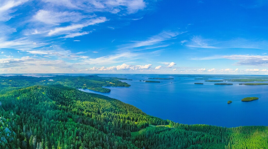 Panorama view of archipelago at lake Pielinen at Koli national park in Finland