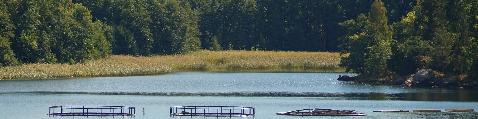 Ausfahrt von Stockholm aus durch den Schärengarten