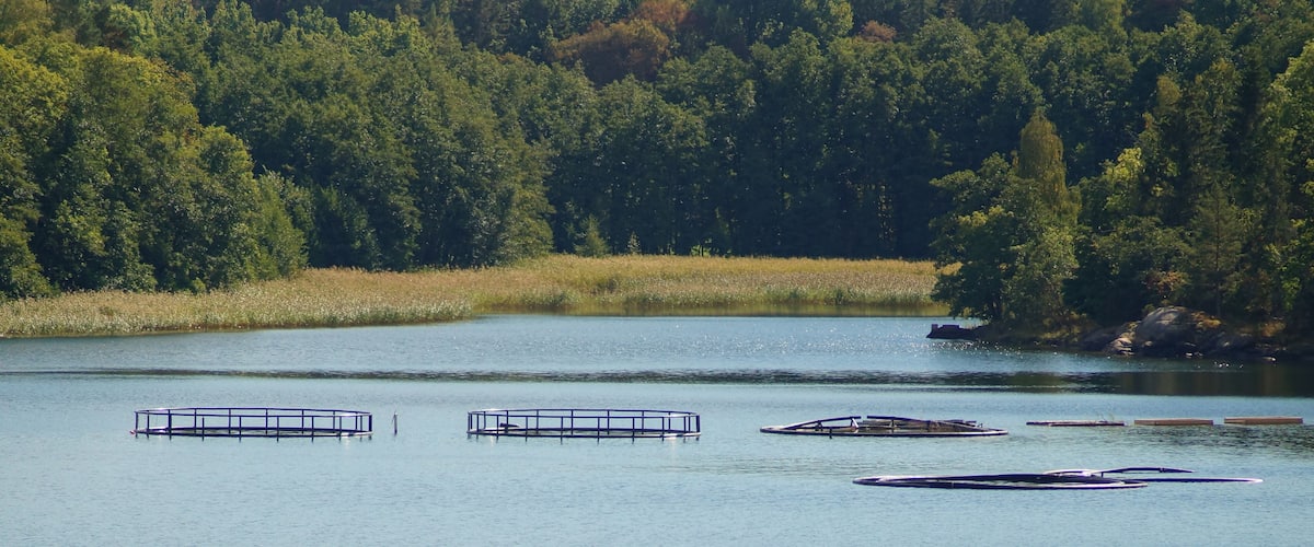A calm lake with several floating docks and a forested shoreline.