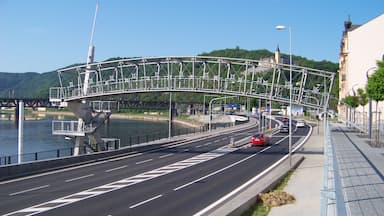 A modern bridge over a river, a road with cars, and a cityscape with buildings.