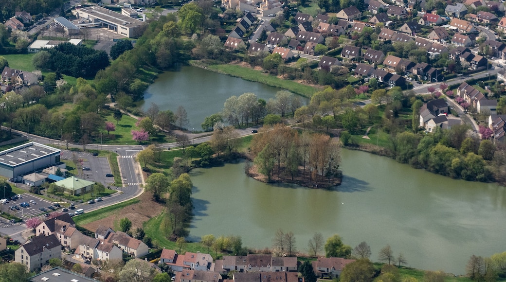 ์นํ
๋ฃจ ์๋ธ๋ฆฌ