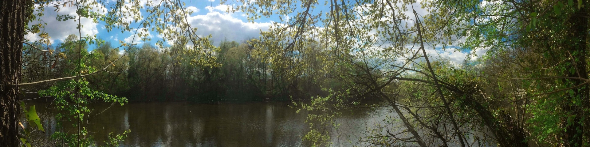 Um lago tranquilo rodeado por árvores densas e um céu claro com nuvens.