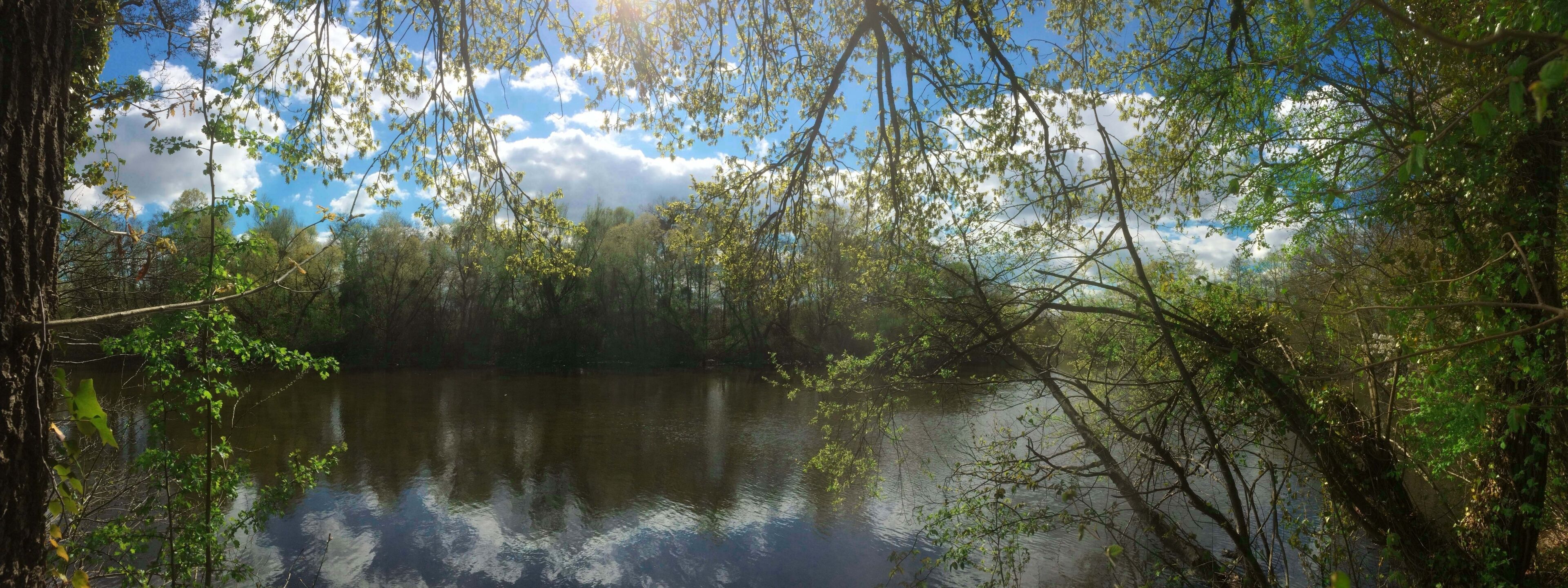A calm lake surrounded by dense trees and a clear sky with clouds.