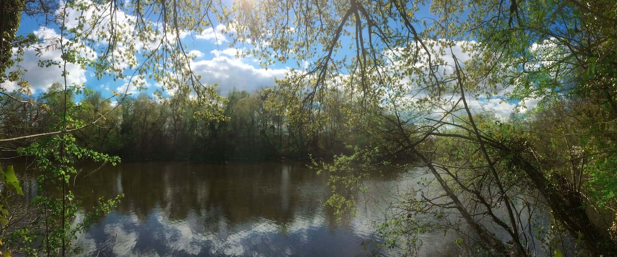 A calm lake surrounded by dense trees and a clear sky with clouds.