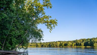 The Forested Banks of the Potomac River in Maryland During Golden Hour