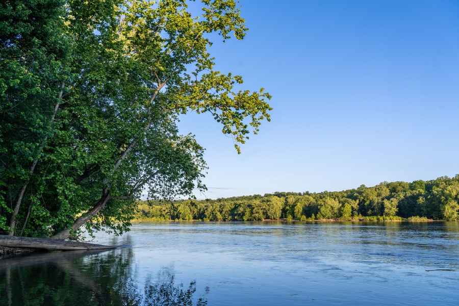The Forested Banks of the Potomac River in Maryland During Golden Hour