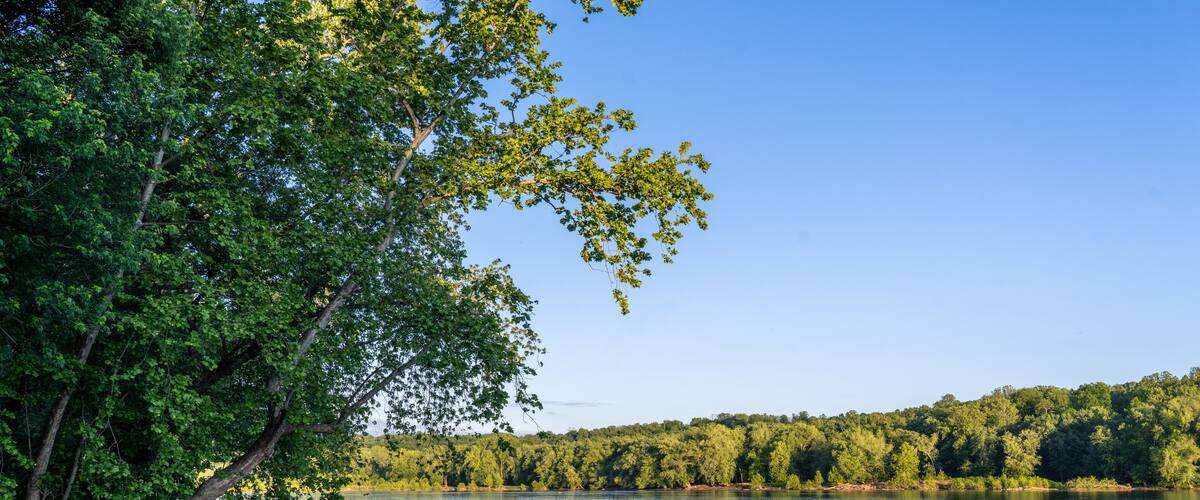 A calm river with dense green foliage on the left and a forested hill in the background.