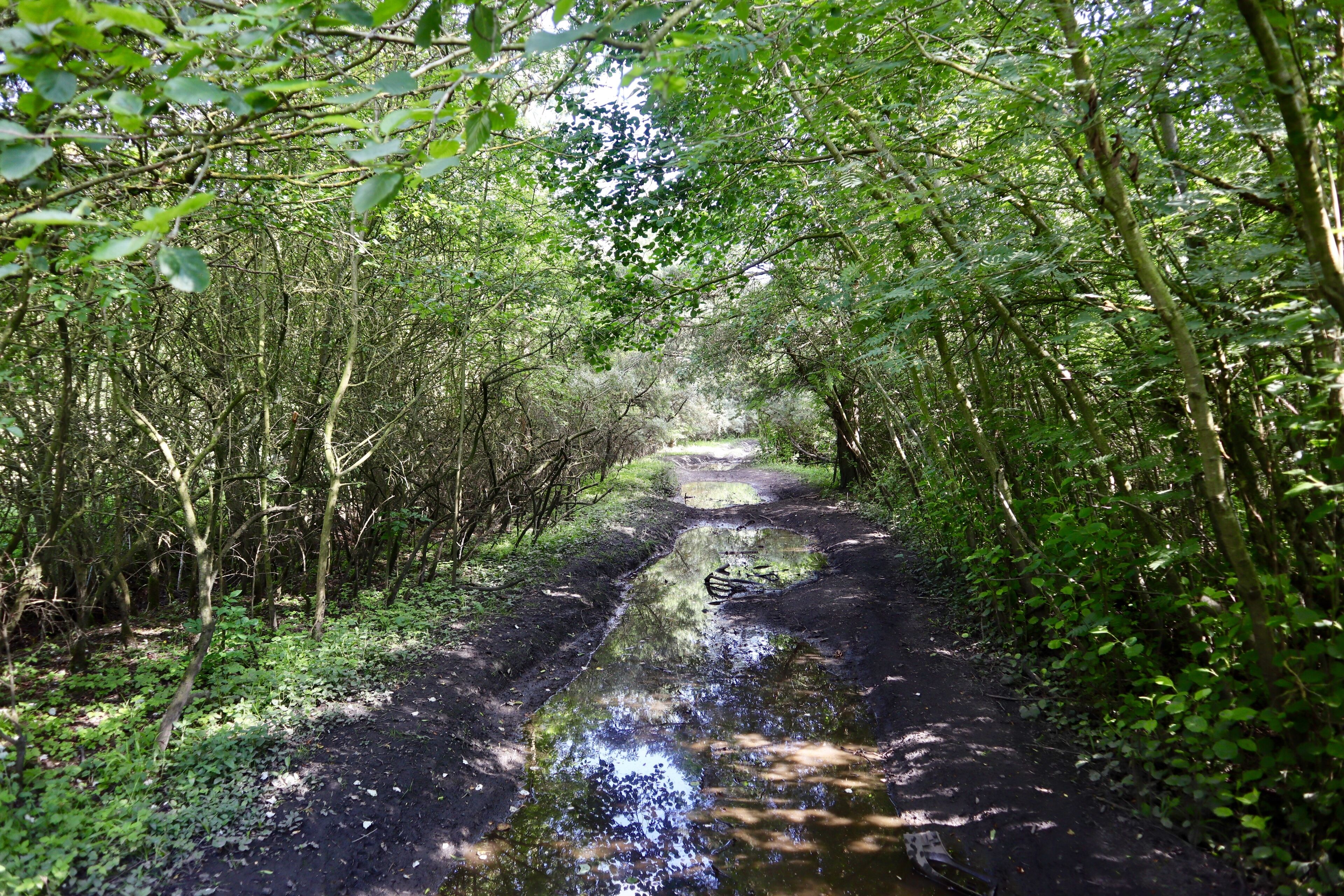 Walk along old railway lines