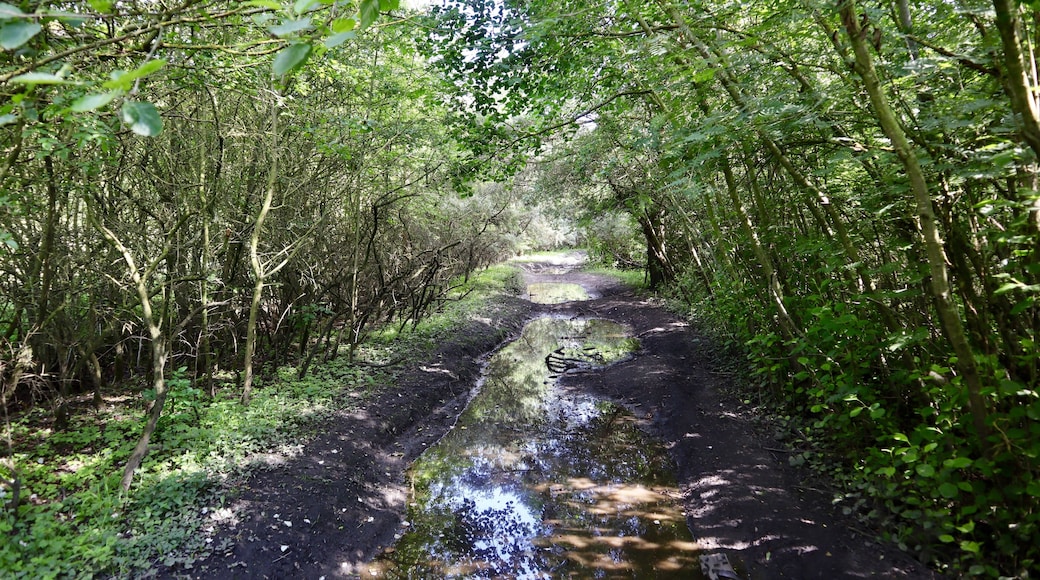 Walk along old railway lines