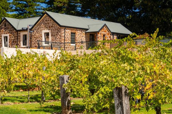 McLaren Vale featuring farmland