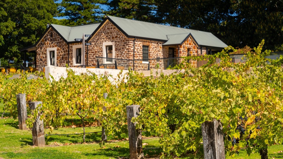 McLaren Vale featuring farmland