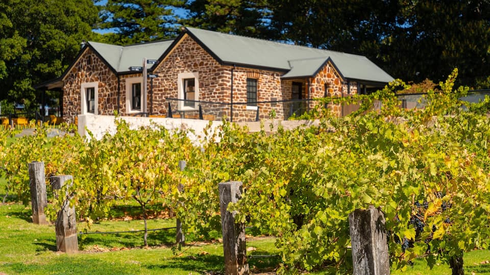 McLaren Vale featuring farmland