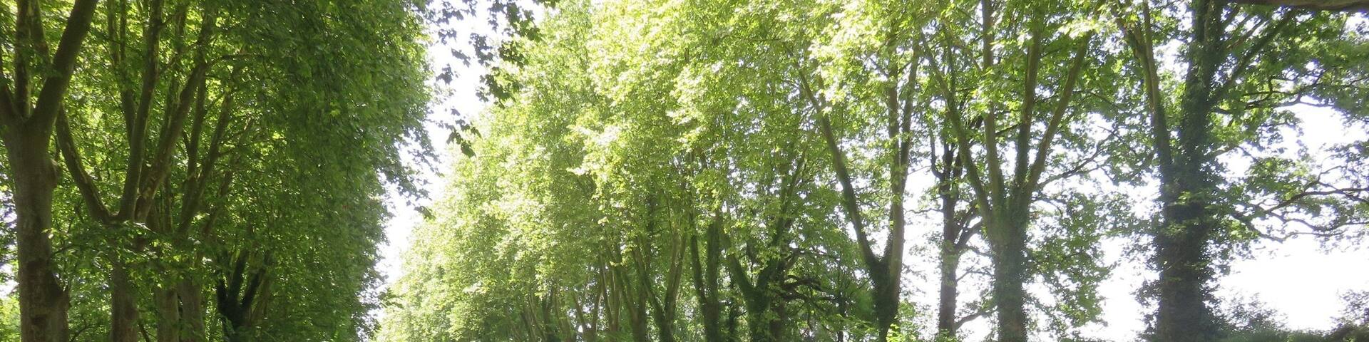 Walking in the shade alongside the canal - 37 degrees in the sun