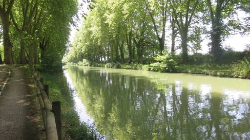 Walking in the shade alongside the canal - 37 degrees in the sun