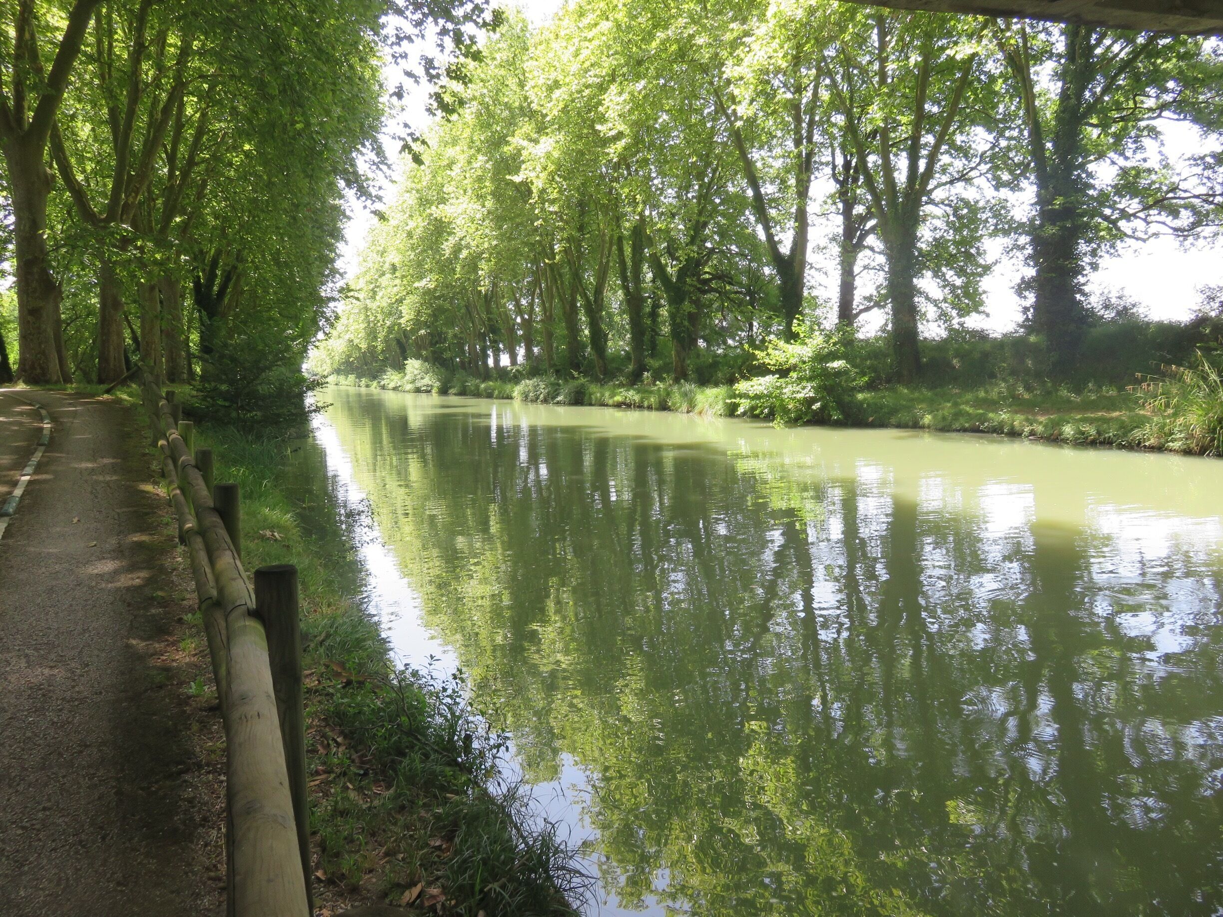 A calm river with trees reflecting on the water, surrounded by greenery.