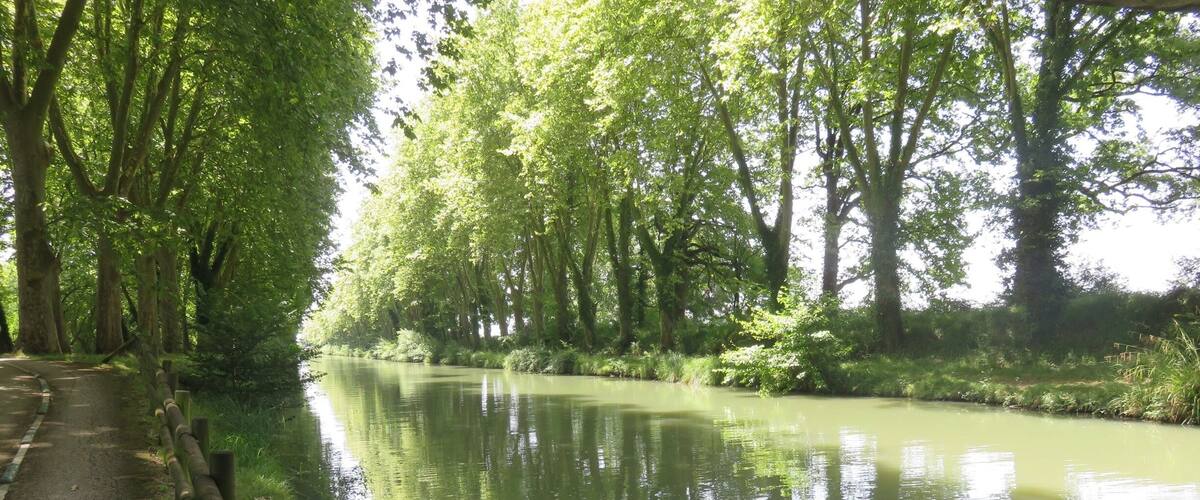 A calm river with trees reflecting on the water, surrounded by greenery.