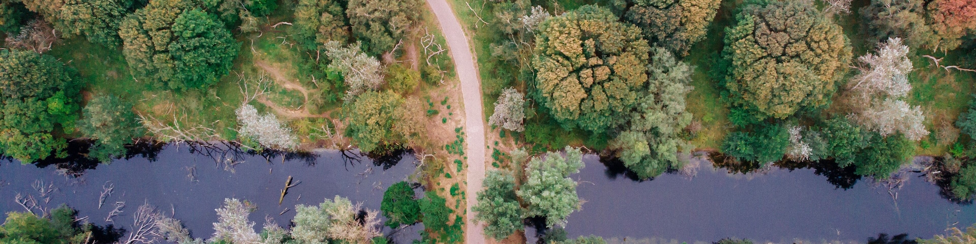 Vista aérea de um rio serpenteando por uma área arborizada com uma trilha de terra.
