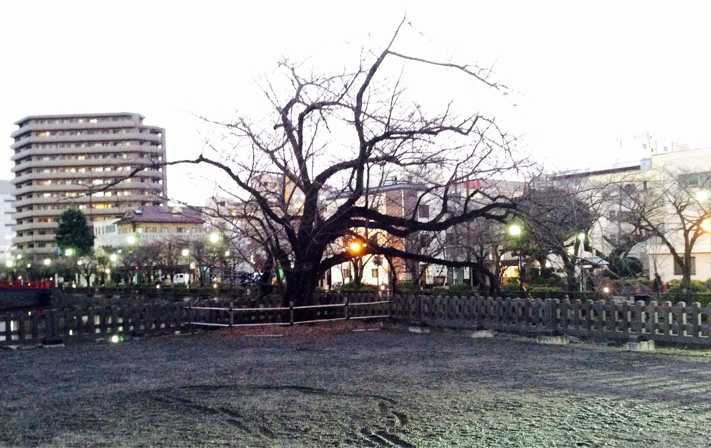 The castle area, would like to come back here in March for the cherry blossoms 