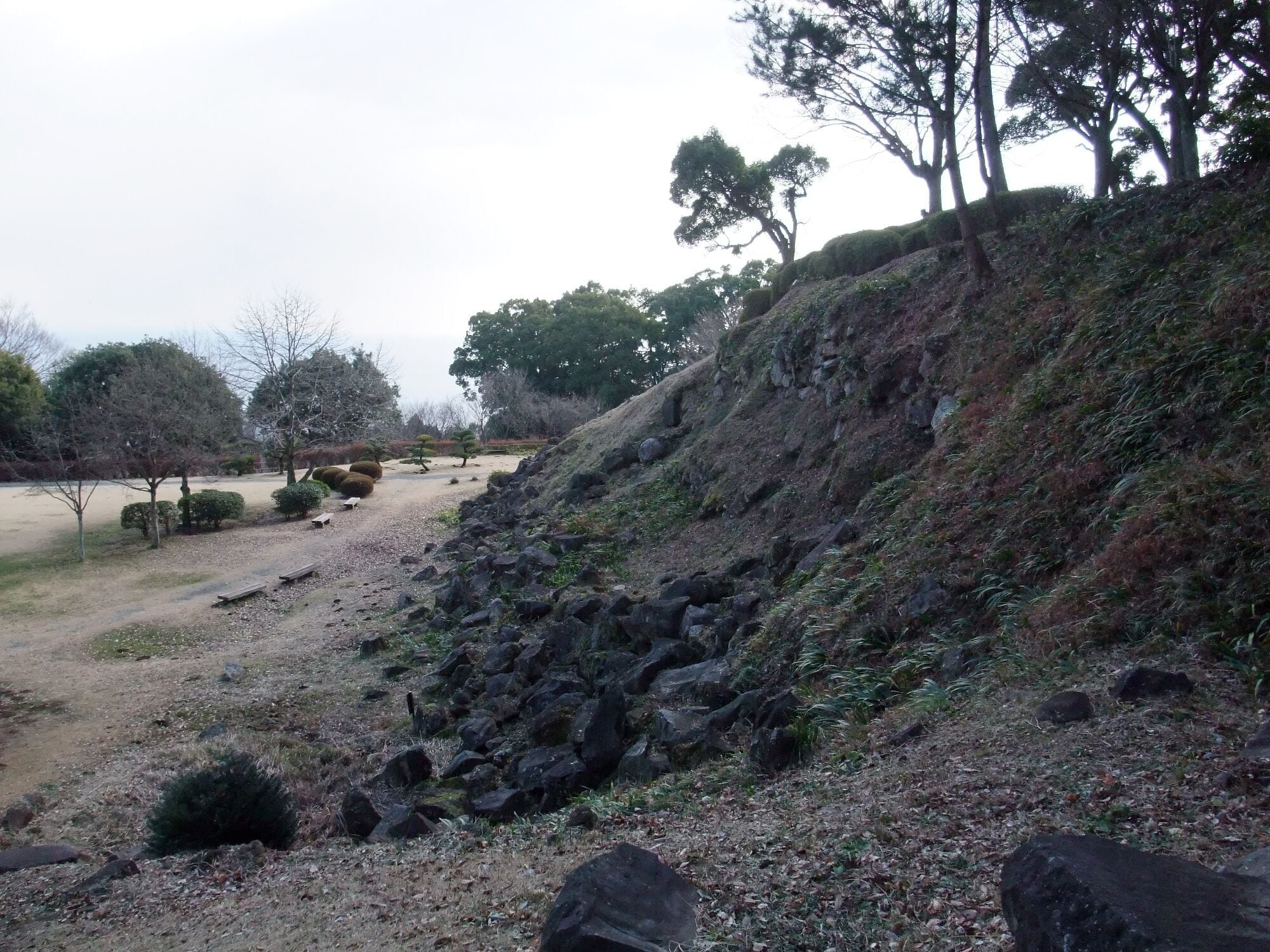 Un sendero de grava con árboles y rocas.