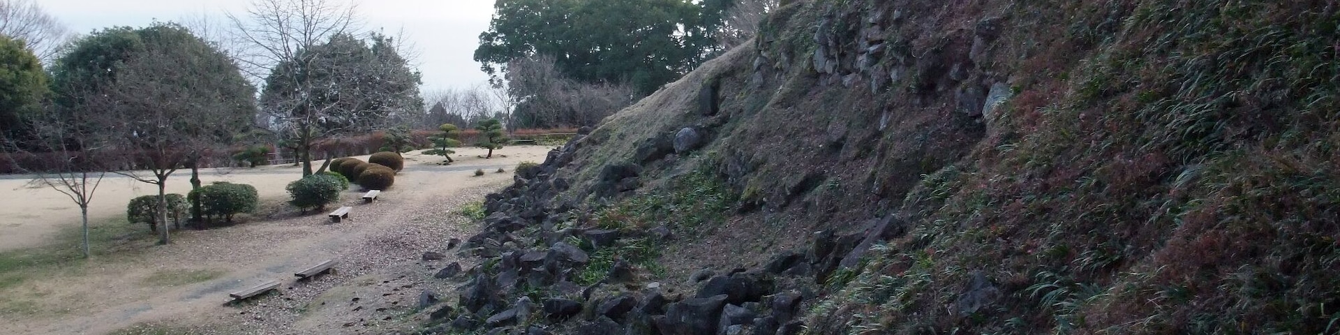 Un sendero de grava con árboles y rocas.