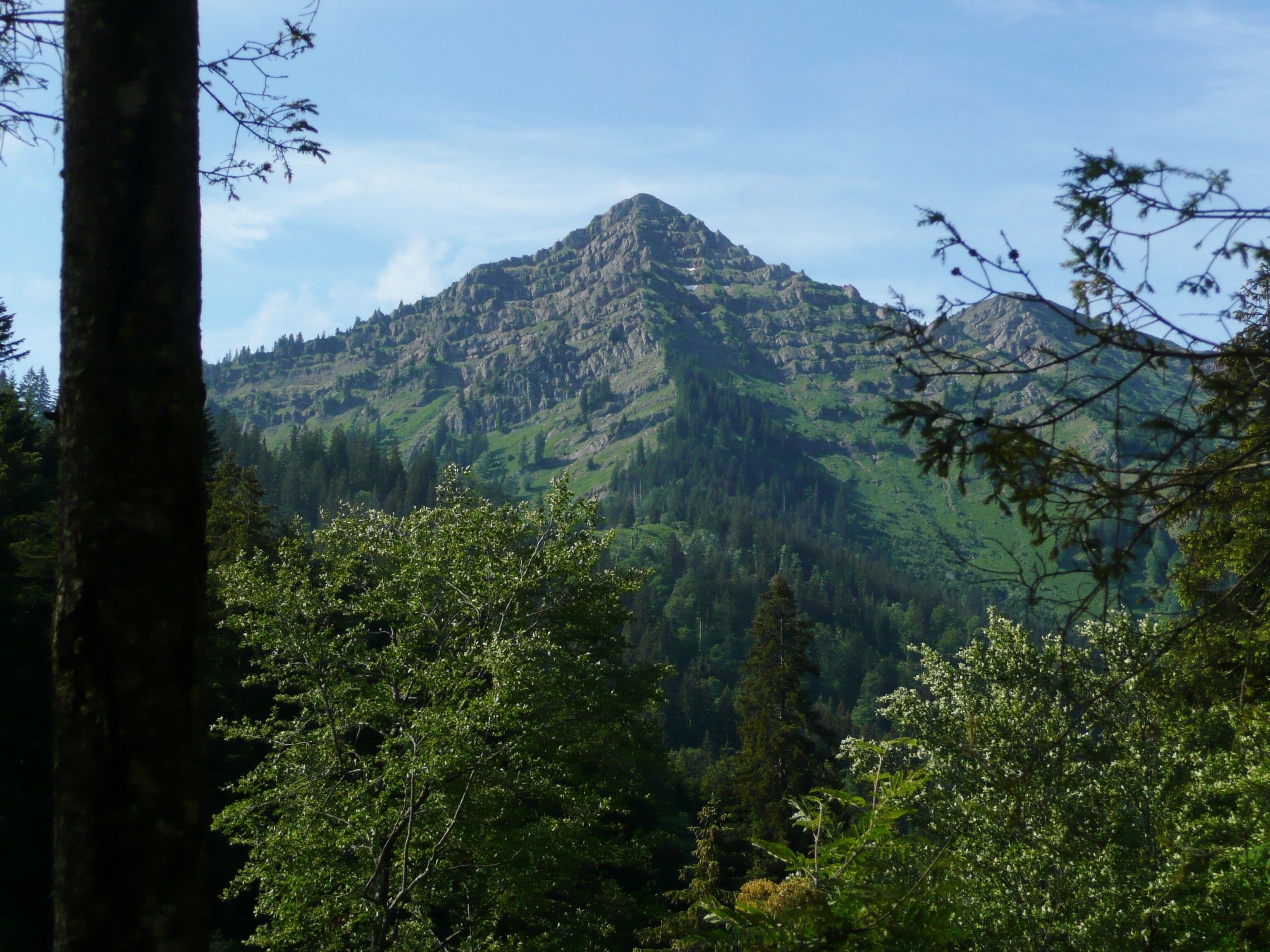 A mountain with dense forested slopes and a clear sky.