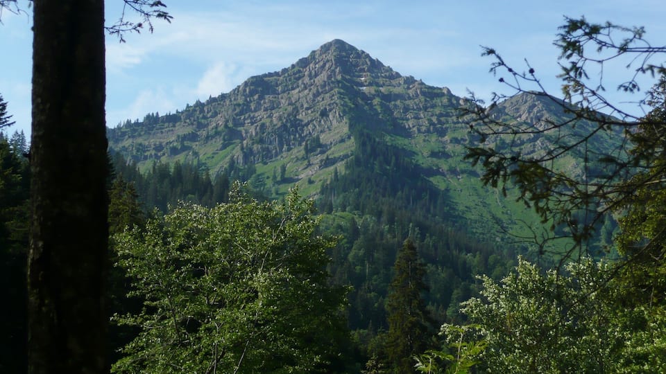 A mountain with dense forested slopes and a clear sky.