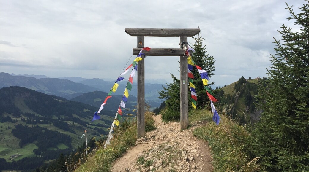 Hochgrat, Oberstaufen
#hiking
#greatoutdoors