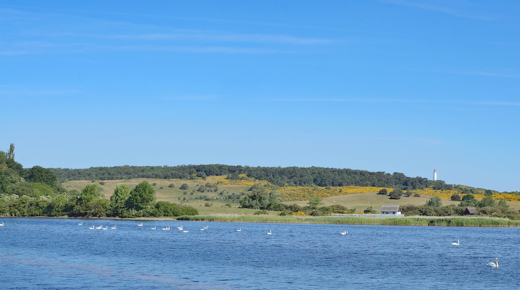 Blick auf den Dornbusch mit dem Leuchtturm auf der Insel Hiddensee,Ostsee,Mecklenburg-Vorpommern,Deutschland