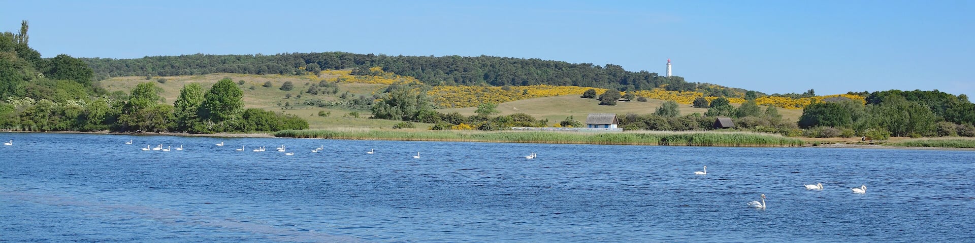 Blick auf den Dornbusch mit dem Leuchtturm auf der Insel Hiddensee,Ostsee,Mecklenburg-Vorpommern,Deutschland