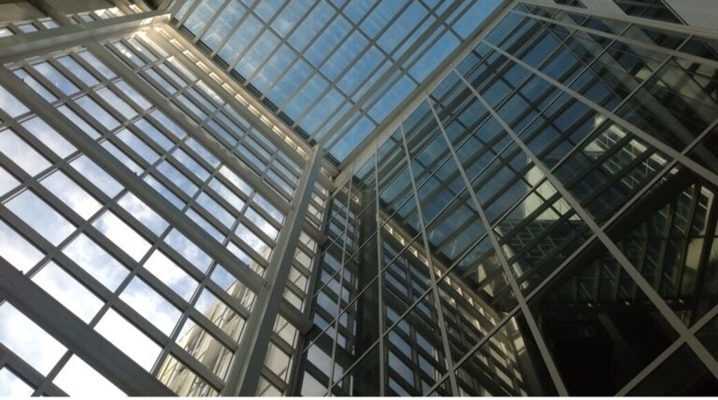 This city hall takes transparency seriously