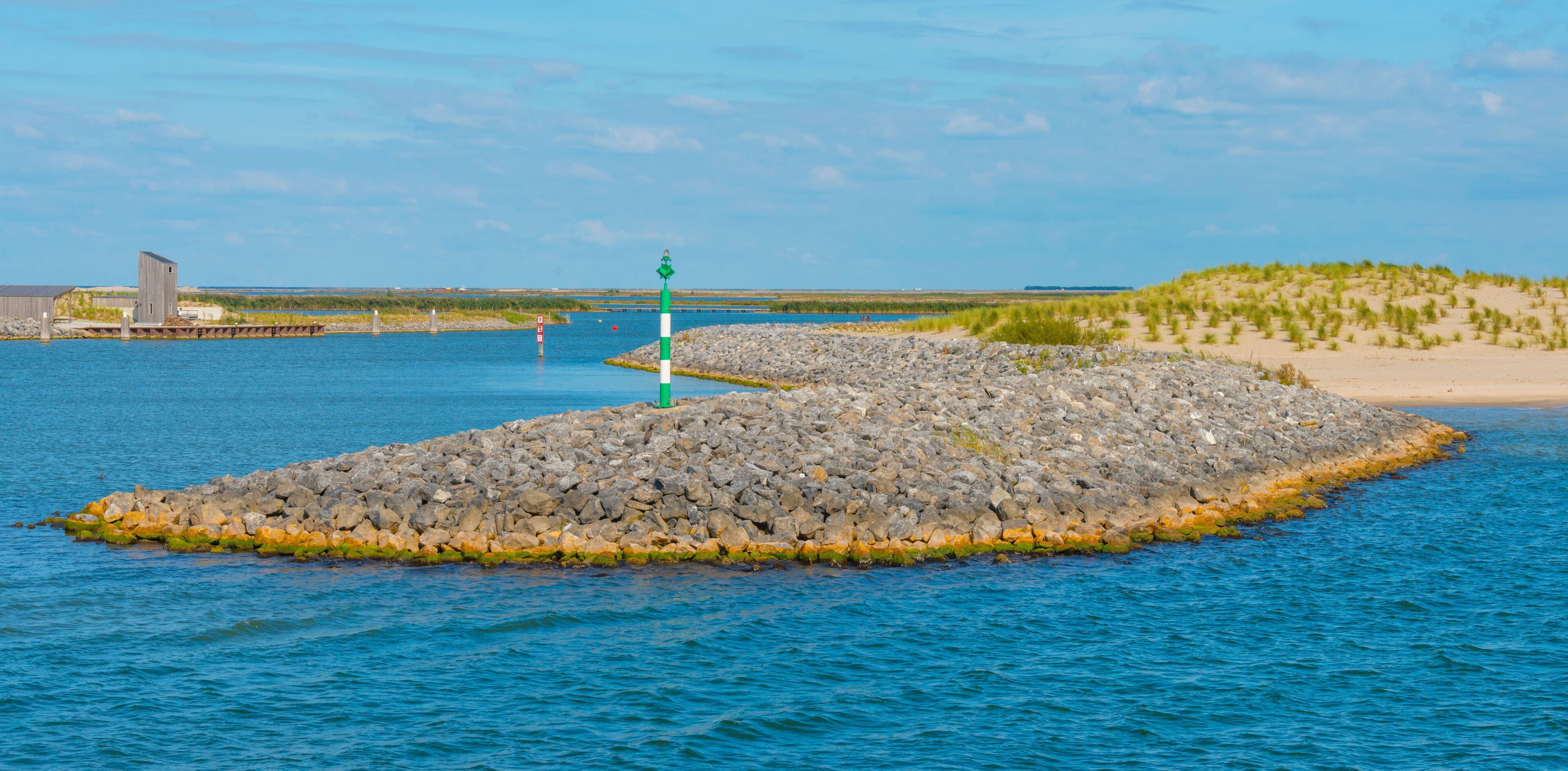 The edge of a lake as part of a wetland nature reserve on an island in sunlight in summer, Almere, Flevoland, The Netherlands, September 20, 2021