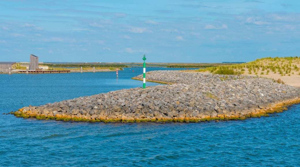 The edge of a lake as part of a wetland nature reserve on an island in sunlight in summer, Almere, Flevoland, The Netherlands, September 20, 2021