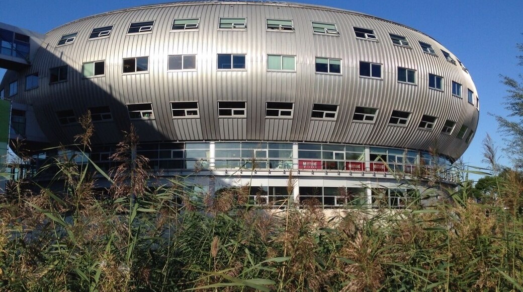 Mushroom architecture makes the concept of a cubic building seem prepostourous http://www.brandboxx.eu/brandboxx/en/home.htm