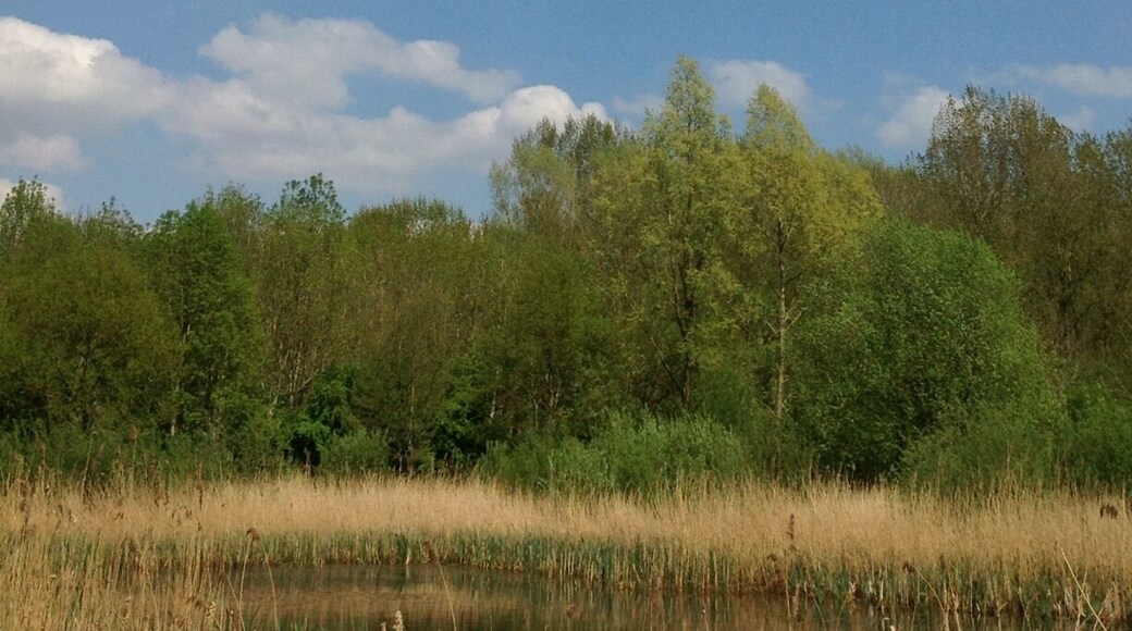 Mountainous clouds complete the otherwise flat Dutch landscape