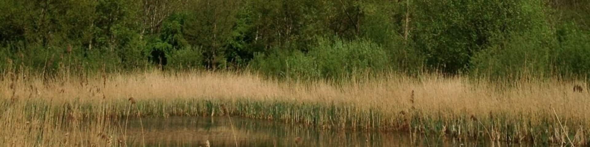 Mountainous clouds complete the otherwise flat Dutch landscape