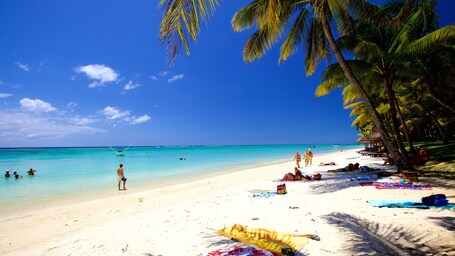 Ein Strand mit klarem türkisblauem Wasser, weißem Sand und Palmen.