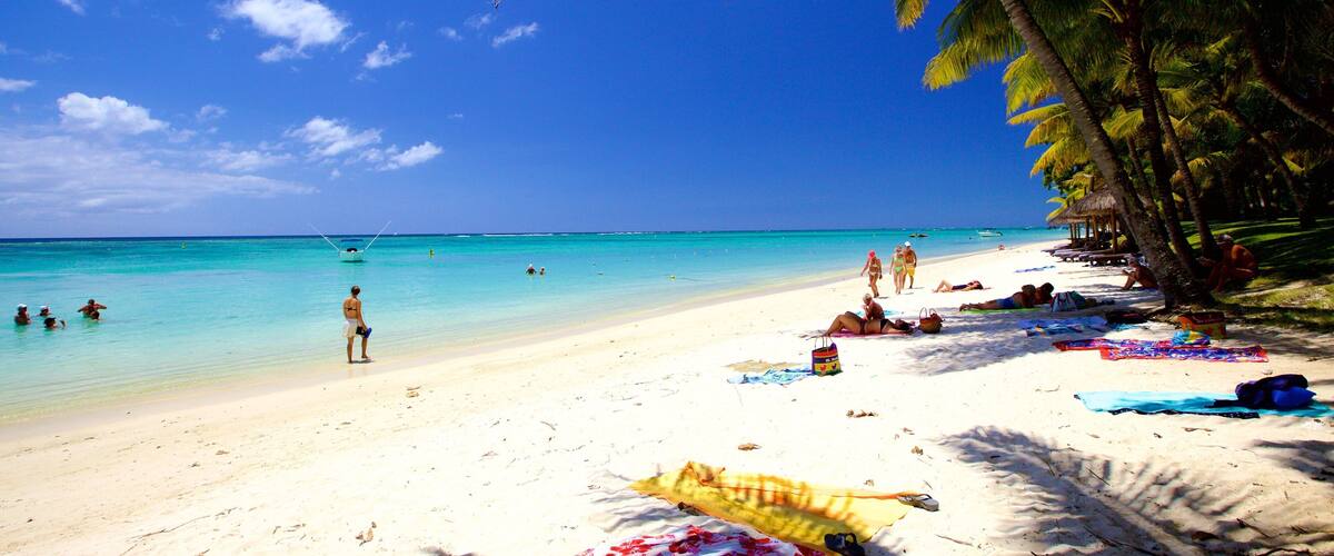A beach with clear turquoise water, white sand, and palm trees.